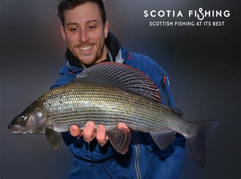 Grayling Fishing in Scotland With Professional Guides