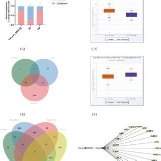 Evaluation Of The Diagnostic Value Of Hsa Circ 0000702 In GC AC ROC