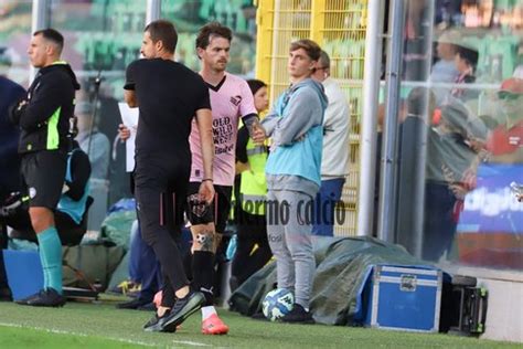 Gds Palermo Verso Il Catanzaro Doppia Seduta Di Allenamento Brunori