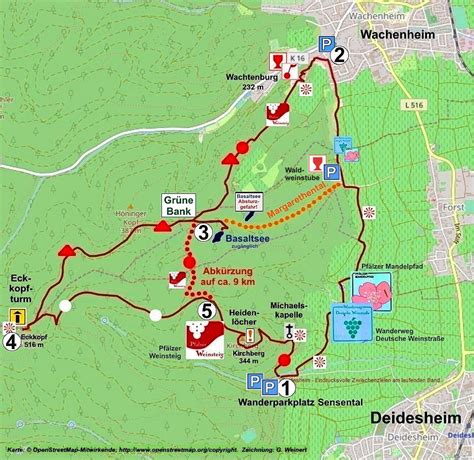 Wachenheimdeidesheim Verkürzte Tour • Wanderung