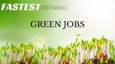 14 Fastest Growing Green Jobs (Environmental Careers List) - WiseStep