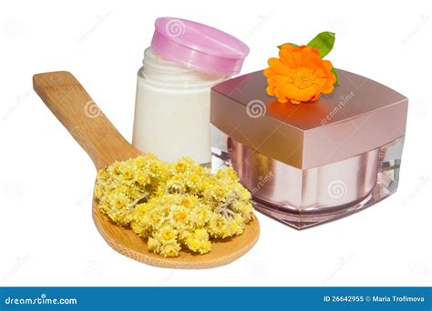 Estetiche Immagine Stock Immagine Di Pochi Viola Bello 26642955