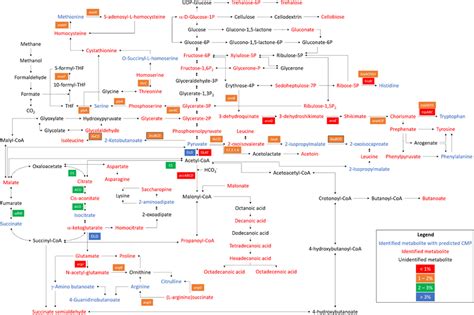 Mapping Of Metabolites And Functional Genes Involved In Carbon Download Scientific Diagram