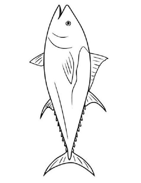 Atlantic Bluefin Tuna Coloring Page