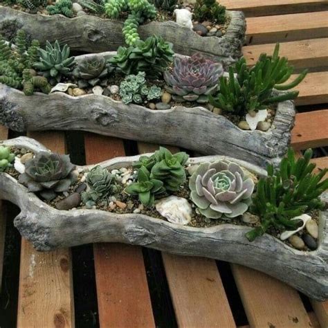 Driftwood Succulent Planter Ideas For Your Home Artofit