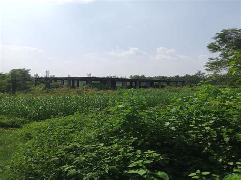 Agricultural Land 19 Bigha For Sale In Kanth Moradabad REI1196695