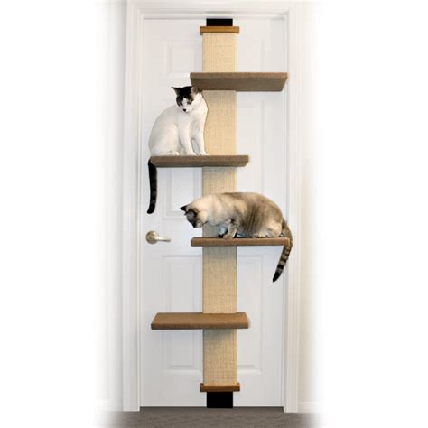 Best Cat Trees For Climbing Felines Vetstreet Vetstreet