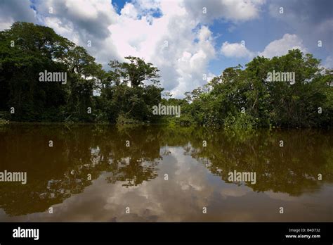 Napo River Amazon Rain Forest Ecuador Stock Photo Alamy