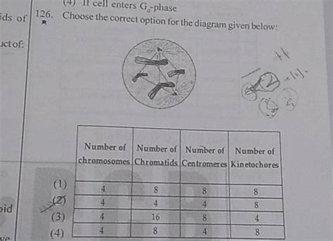 Choose The Correct Option For The Diagram Given Below Filo