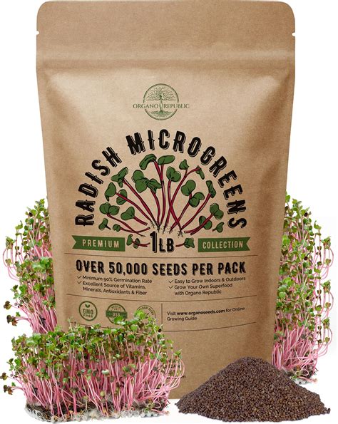 Daikon Radish Microgreen Sprouting 16 Oz Non Gmo