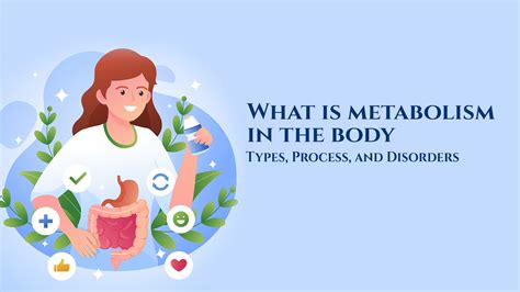 What is metabolism in the body? Types, Process, and Disorders