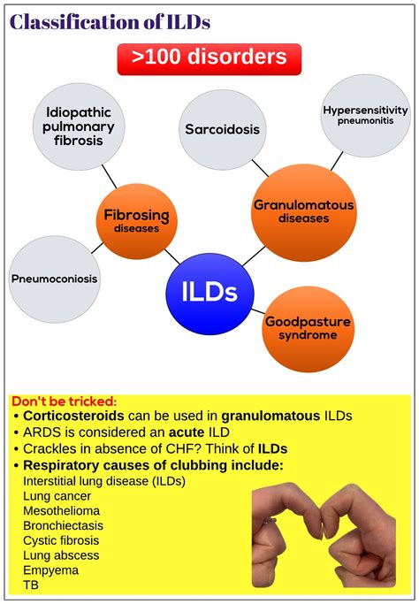 Classification Of Interstitial Lung Diseases Ilds Medicine Keys For Mrcps