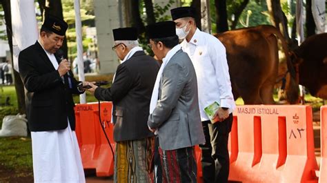 Ini Penampakan Sapi Kurban Jokowi Dan Ma Ruf Amin Di Masjid Istiqlal