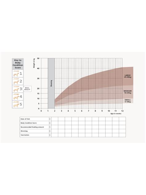 2025 Puppy Growth Chart - Fillable, Printable PDF & Forms | Handypdf