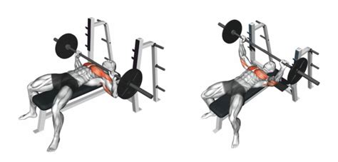 How To Do Barbell Bench Press Chest Workout Strengthbuzz