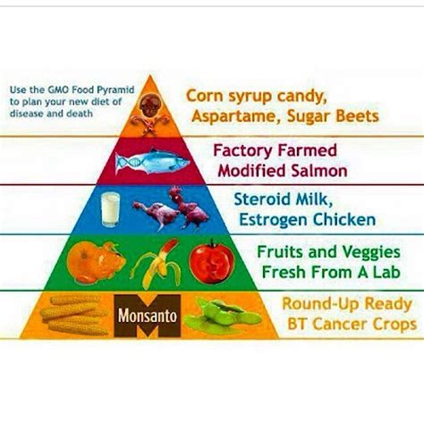 1Mouthful Recipes : The true american food pyramid. #foodpyramid...