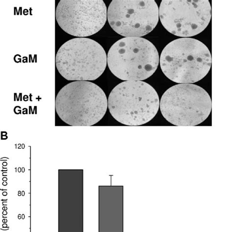 Cellular Iron Uptake And Transferrin Receptor1 Tfr1 Expression A Download Scientific