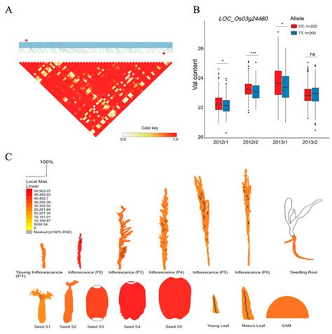 Plants Special Issue The Application Of New Gwas Methods In The