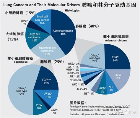 肺癌的免疫治疗效果如何？ 知乎