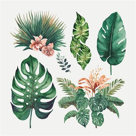 Premium Vector Watercolor Tropical Floral Illustration Set With Green