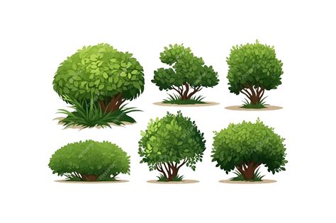 Premium Vector Shrubs Set Vector Illustration Design