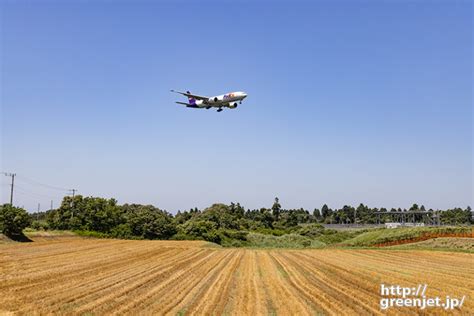 成田で飛行機～畑の黄色いラインが美しい Mgt Greenjet 飛行機撮影記