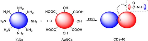 The Synthesis Process Of Cds 40 Via Amide Coupling Reaction Download Scientific Diagram