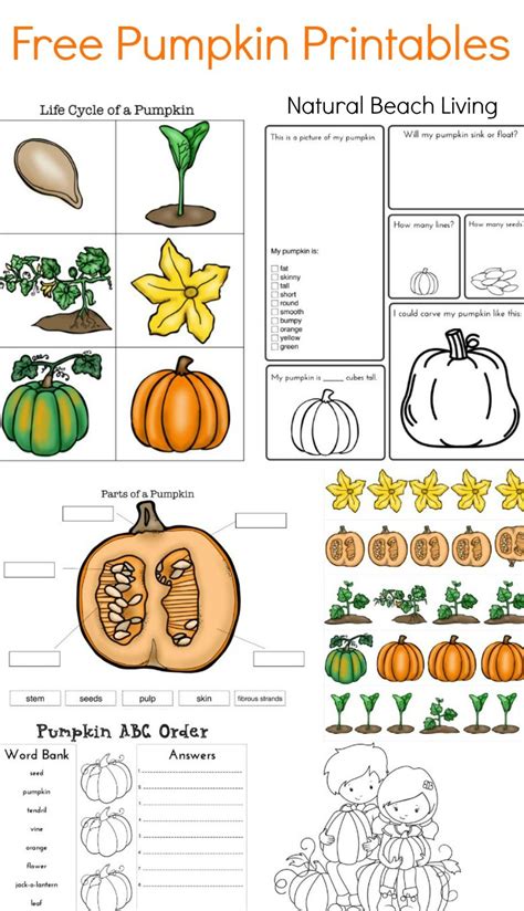 Pumpkin Lesson Plan For Preschoolers