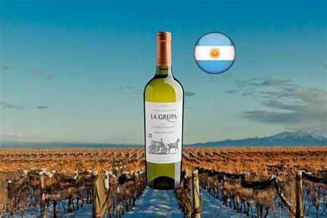 La Grupa Gran Selecci N Chardonnay Vinho Branco Argentino