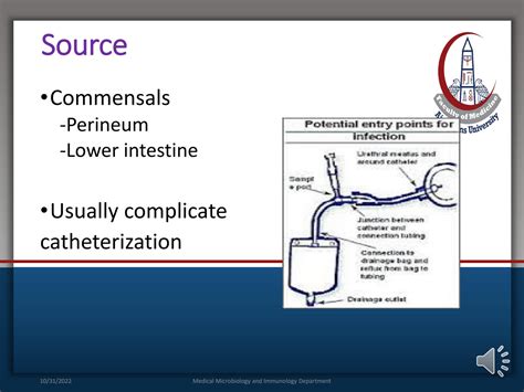 SOLUTION Uti Antimicrobials Immune System Studypool