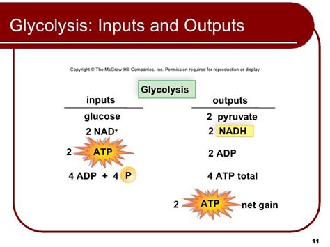 08 Lecture Animation Ppt