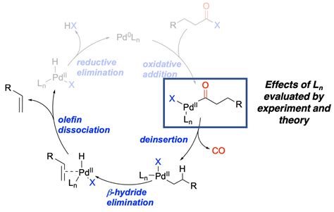 Supporting Information For Ligand Effects On Decarbonylation Of