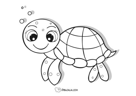 Tortuga Muy Feliz Dibujo Dibujalia Dibujos Para Colorear Y Porn Sexiz Pix