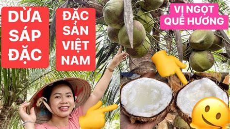 Dừa sáp đặc sản Việt Nam lần đầu được thưởng thức, vừa béo vừa ngọt về ...