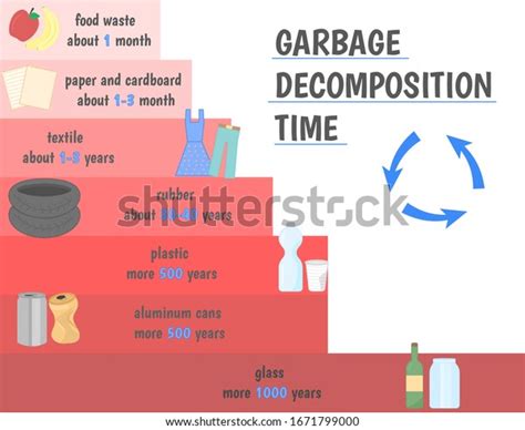 decomposition infographic royalty  images stock  pictures