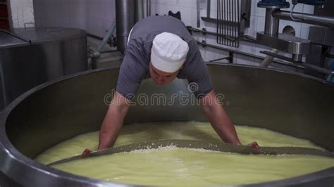 The Process Of Producing Of Cheese In Industry Cheese Making From