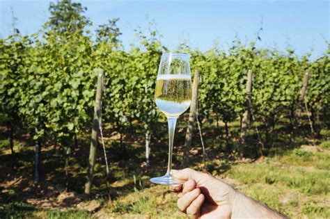 How Franciacorta Wine Is Made Delicious Italy