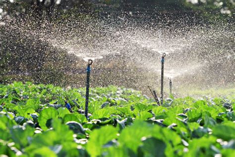 Uso Eficiente Del Agua En El Sector Agrario AGAU020PO Gdoce