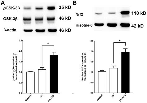 Apigenin 7 O β D 6 p coumaroyl glucopyranoside treatment elicits a