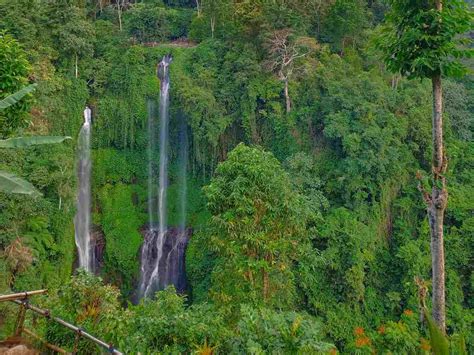 Sekumpul Waterfall Guide & Entrance Ticket - IdeTrips