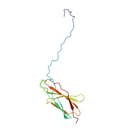 Rcsb Pdb Ed Solution Structure Of The Third Fibronectin Type Iii