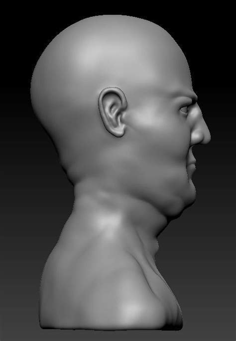 Male Head Sculpt 3d Model Cgtrader