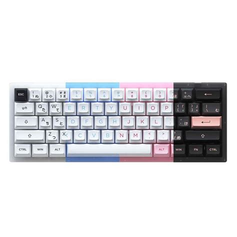 Bàn phím cơ AKKO ACR61 Hotswap RGB AKKO CS sw Phụ Kiện Máy Tính