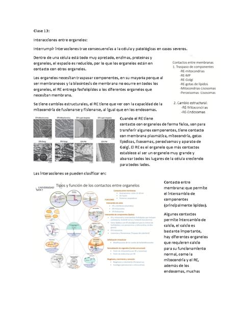 Biocel Clases Biolog A Celular Medicina Clase Interacciones