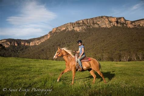 Centennial Glen Stables Horse Riding Classes And Lessons For Kids