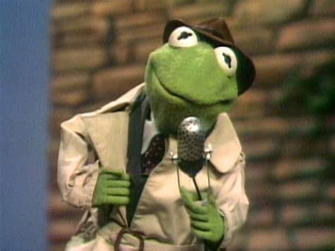 Image - Kermit Reporter.jpg | Muppet Wiki | FANDOM powered by Wikia