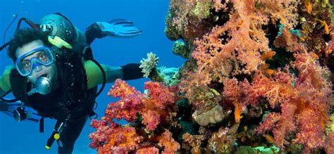 scuba diving malvan | scuba center at Tarkarli