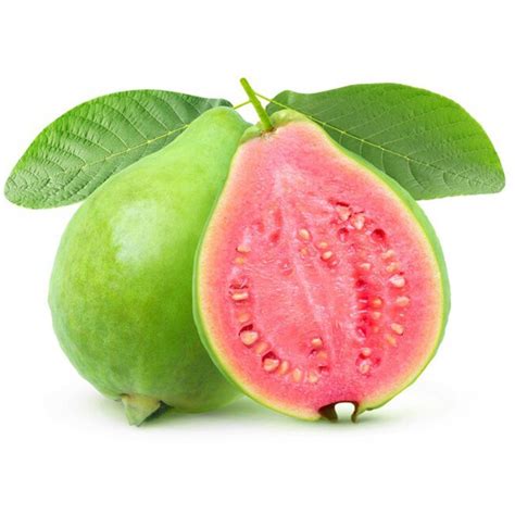 Common Guava Seeds Psidium Guajava Price 2 15