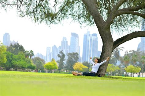 Healthy City Stock Photos, Images and Backgrounds for Free Download