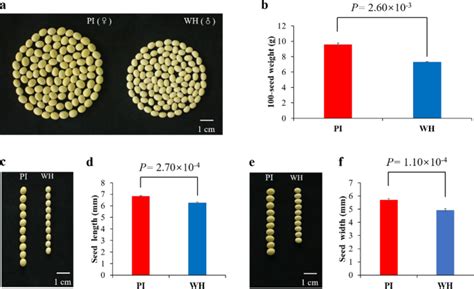 Identification Of Major Quantitative Trait Loci And Candidate Genes For